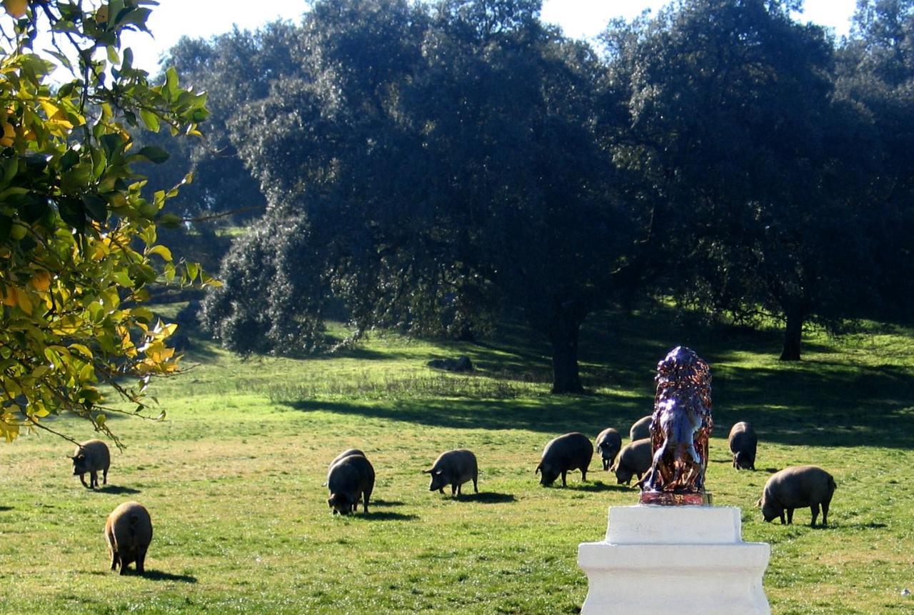 Cortijo Huerta Galindo Konuk evi Alanís Dış mekan fotoğraf