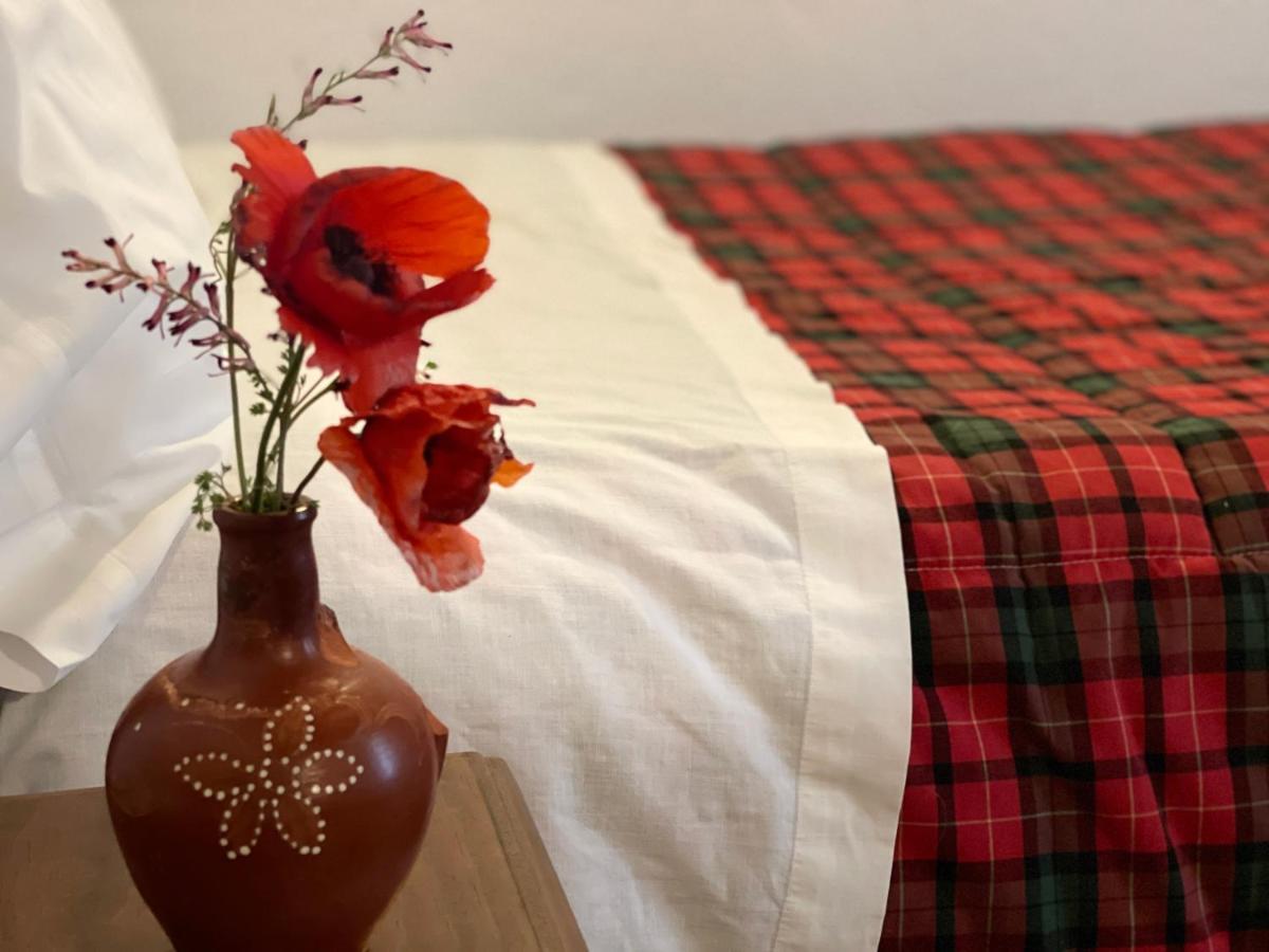 Cortijo Huerta Galindo Konuk evi Alanís Dış mekan fotoğraf