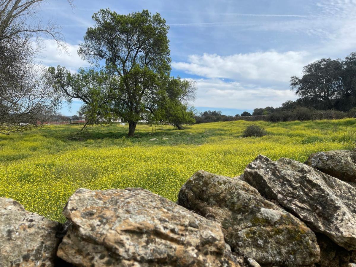 Cortijo Huerta Galindo Konuk evi Alanís Dış mekan fotoğraf