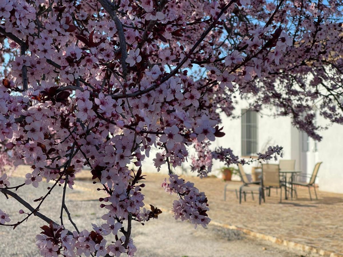 Cortijo Huerta Galindo Konuk evi Alanís Dış mekan fotoğraf